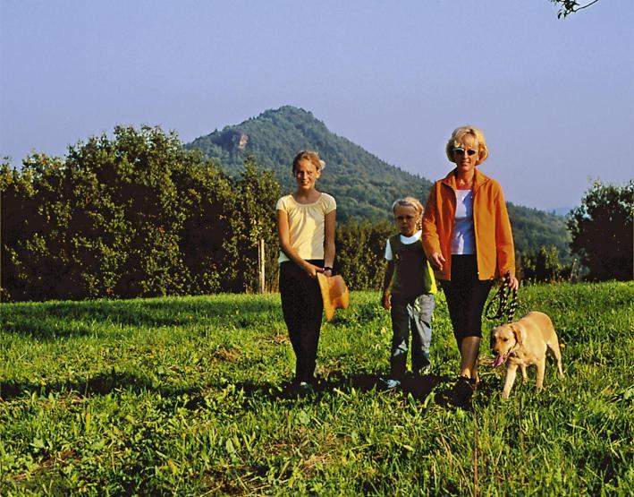 Zum Ochsen Otel Hauenstein Dış mekan fotoğraf
