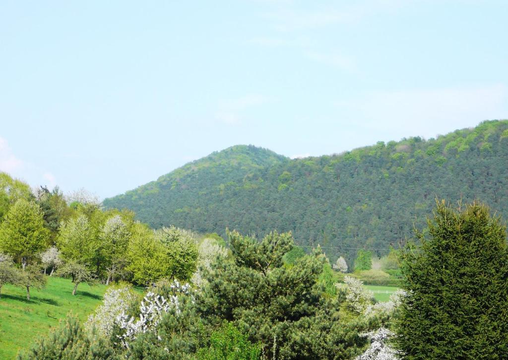 Zum Ochsen Otel Hauenstein Dış mekan fotoğraf